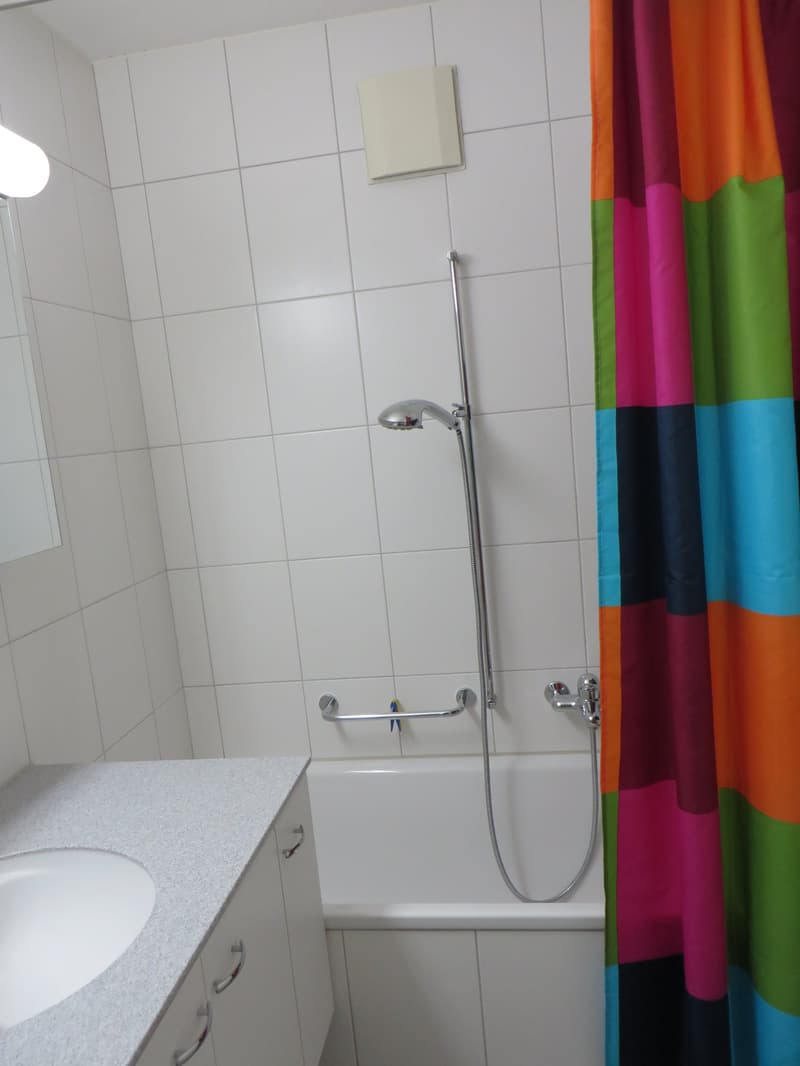 ***helle, charmante 3½-Zimmer-Wohnung im Hochparterre*** (9)