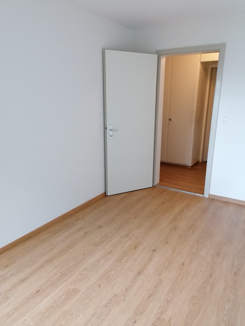 ***helle, charmante 3½-Zimmer-Wohnung im Hochparterre*** (8)