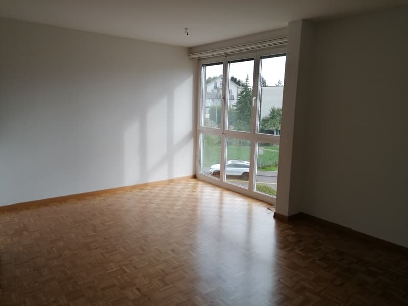 ***helle, charmante 3½-Zimmer-Wohnung im Hochparterre*** (3)