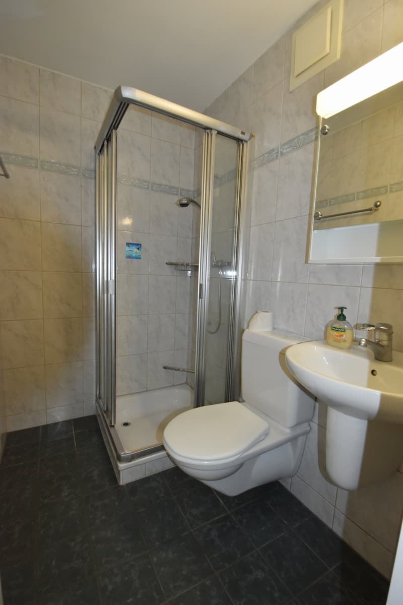 Charmante 5.5-Zimmer-Gartenwohnung an ruhiger Lage in Rikon (10)