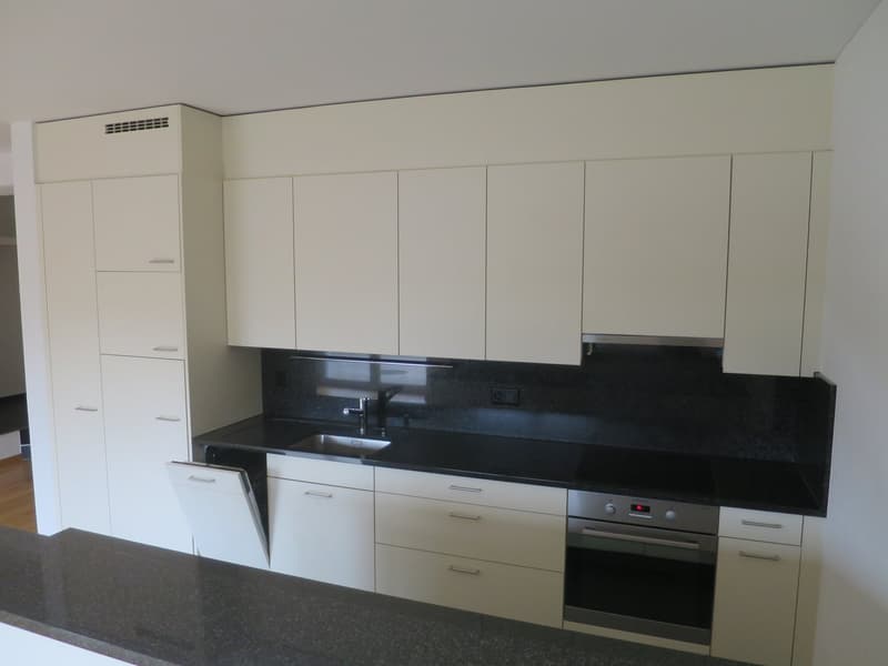 *** schöne 3.5 Zimmerwohnung mit grosszügigem Sitzplatz zu vermieten *** (4)