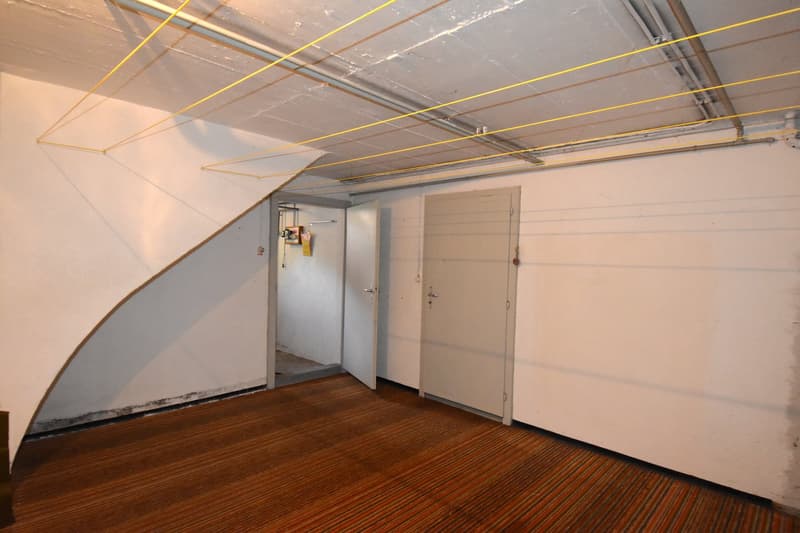 Einfamilienhaus mit herrlichem Grundstück und Ausbaupotenzial (28)