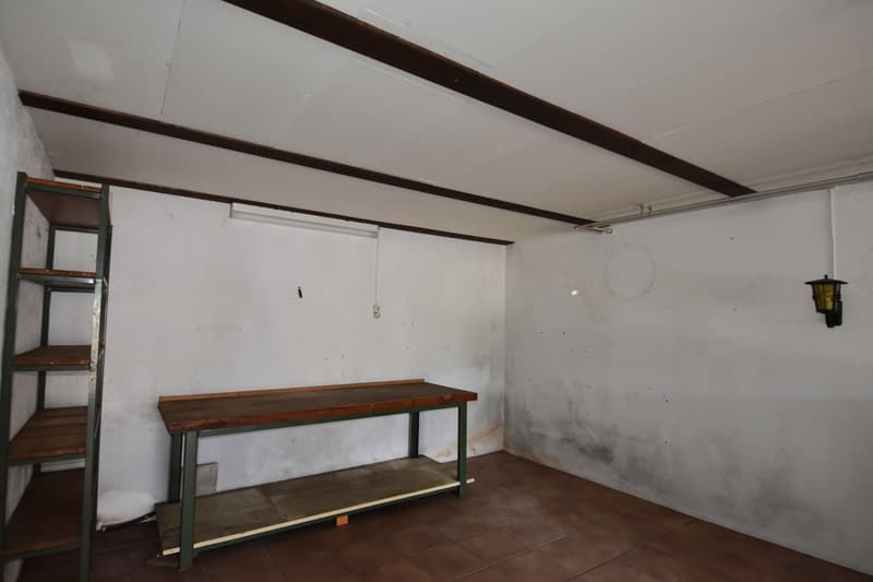 Einfamilienhaus mit herrlichem Grundstück und Ausbaupotenzial (34)