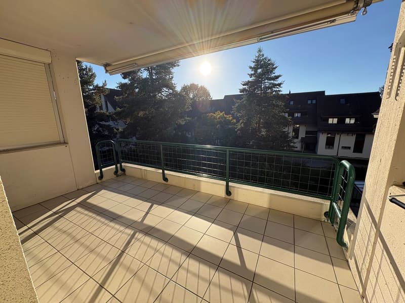 ***Helle 4.5-Zimmer-Wohnung mit Balkon*** (9)