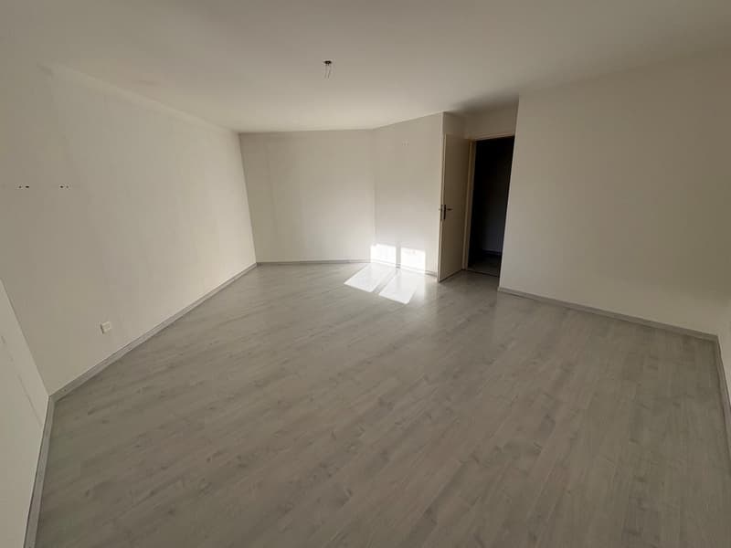 ***Helle 4.5-Zimmer-Wohnung mit Balkon*** (15)