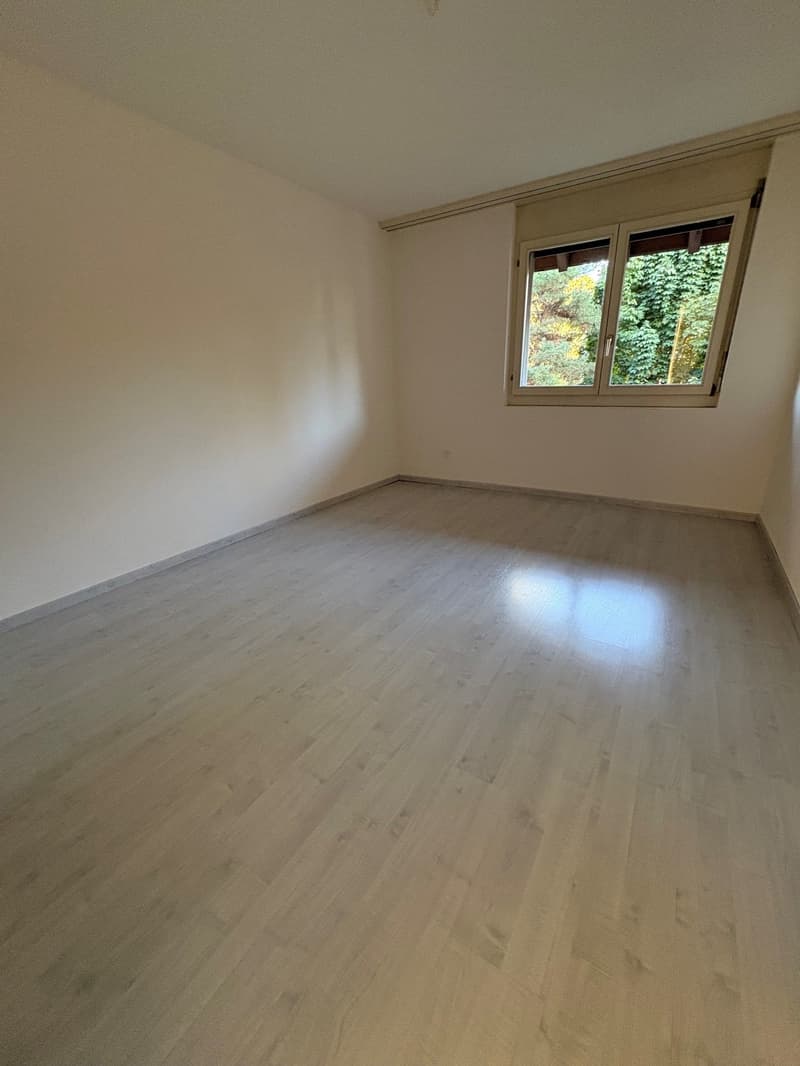 ***Helle 4.5-Zimmer-Wohnung mit Balkon*** (16)