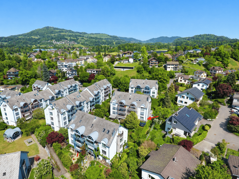 Grüne und sonnige Oase (9)