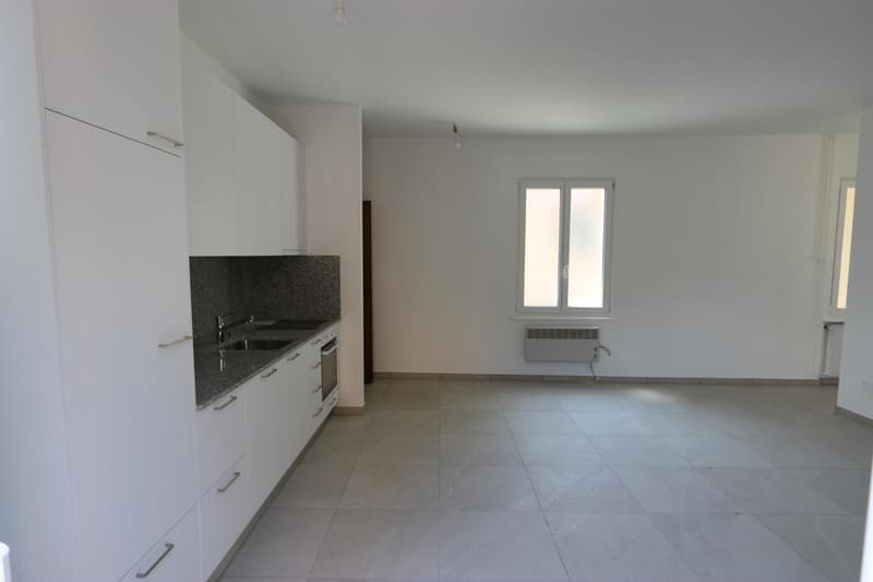 Wohnung in Locarno (5)