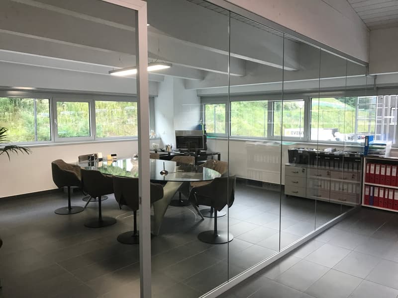 modern office room with glass walls, large windows, glass table, black chairs, plants, cabinets, printer