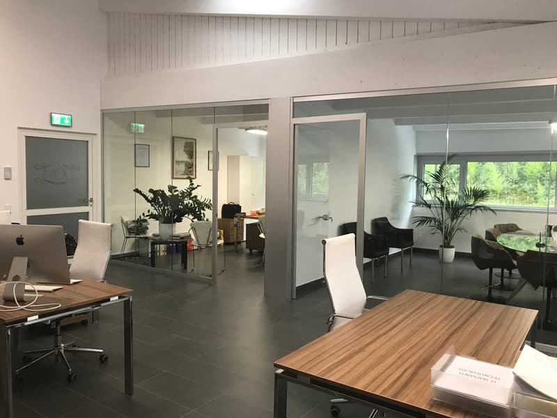 The image shows a modern and open office space with large windows providing a view of the surrounding greenery. The office features a mix of workstations, including desks with computers, and a lounge area with comfortable chairs. The space has a clean and