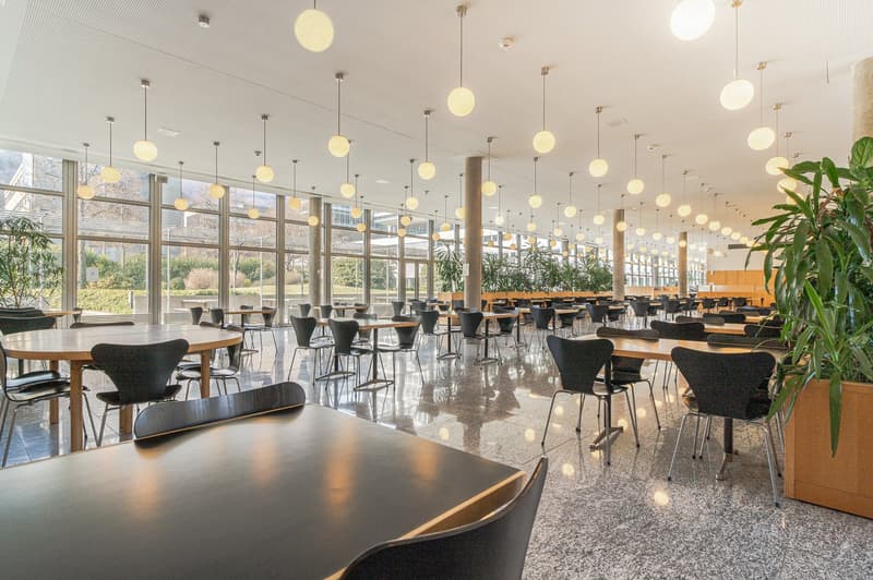 Large open space with high ceilings, numerous round tables and black chairs, pendant lighting fixtures, and floor-to-ceiling windows providing natural light and views of the outdoor greenery.