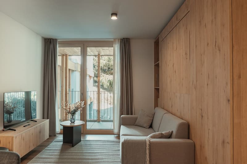 Modern living room with wooden walls, a sofa, coffee table, TV, and a rug.