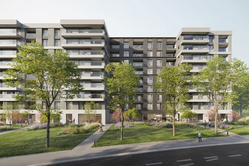 Residenza Belvedere  - Luminoso 2.5 locali (6)