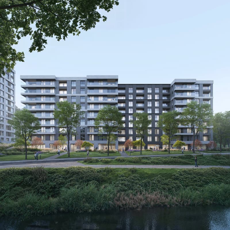 Residenza Belvedere  - Luminoso 2.5 locali (5)