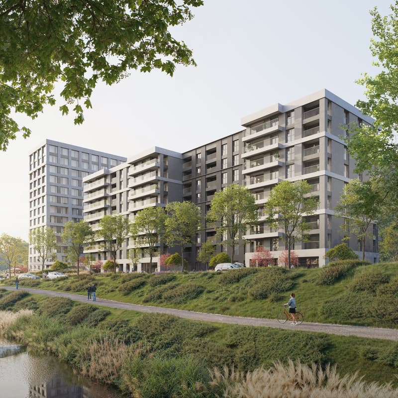 Residenza Belvedere - Nuovo 3.5 locali (6)