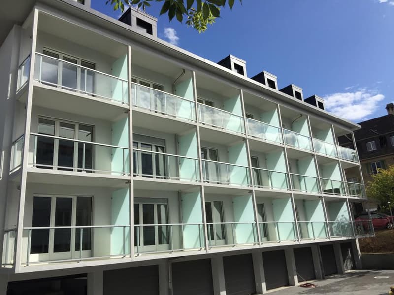 1.5 Room City Pop Apartment in Zurich-Oerlikon (2)