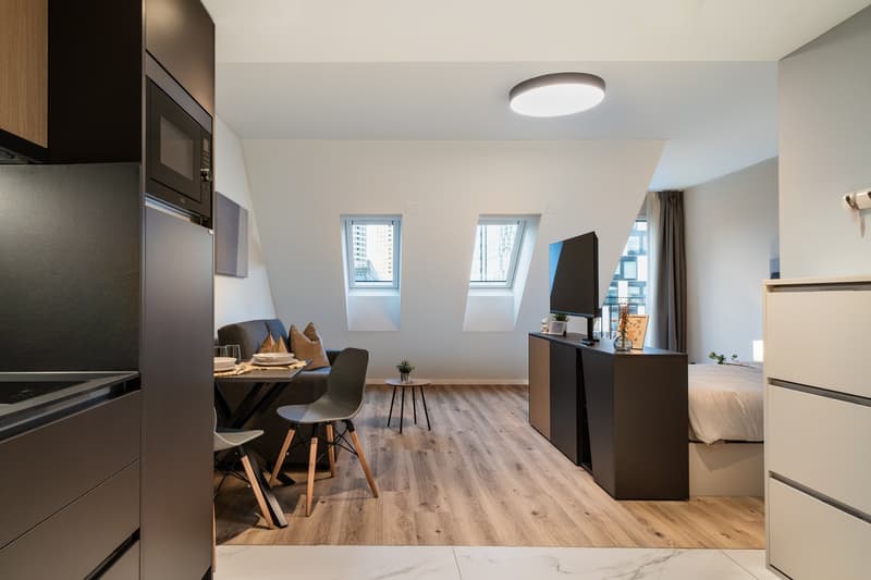 Open-plan studio apartment with kitchen, dining area, and living space. Hardwood flooring, large windows, modern appliances including a dishwasher, and a TV stand.