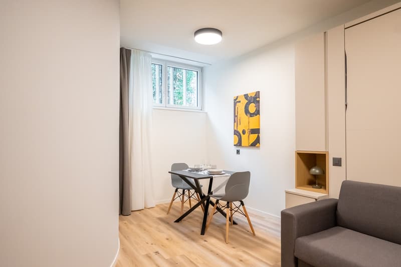 City Pop - Cosy Studio Apartments close to Zürich centre (12)