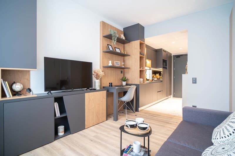 City Pop - Cosy Studio Apartments close to Zürich centre (3)