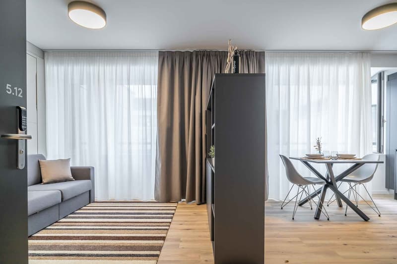 City Pop - Cosy Studio Apartments just next to HB Zürich (8)