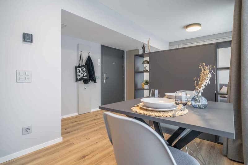 City Pop - Cosy Studio Apartments just next to HB Zürich (12)