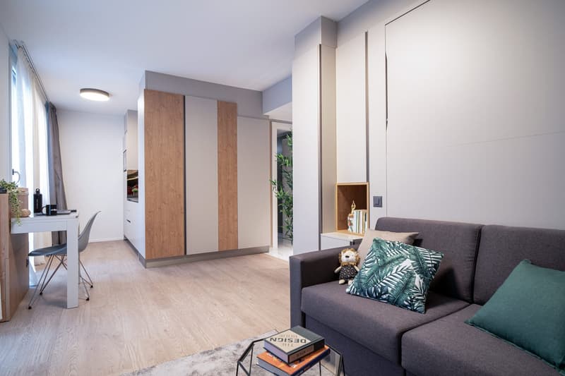 Open-plan studio apartment with hardwood flooring, gray sofa, tropical-themed throw pillow, built-in storage units, and a small desk area near the window.