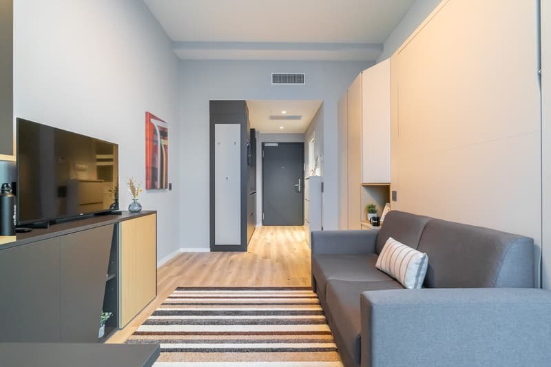 City Pop - Cosy Studio Apartments Baden, AG (16)