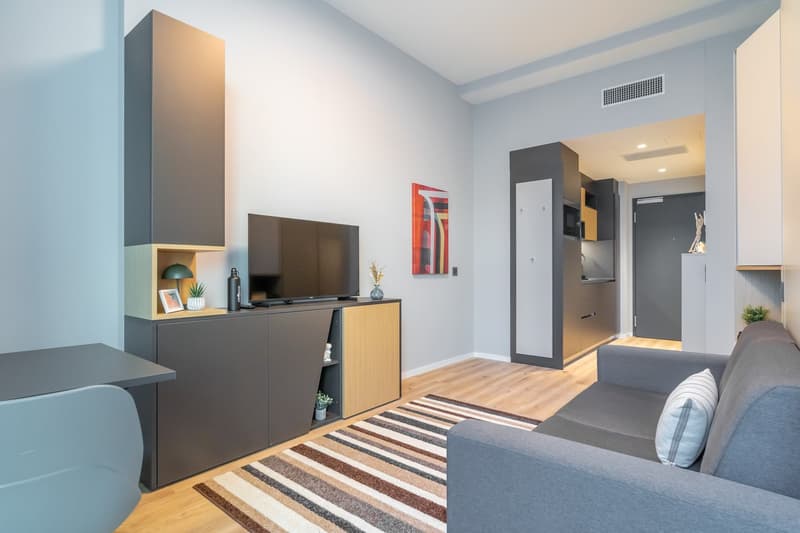 City Pop - Cosy Studio Apartments Baden, AG (15)