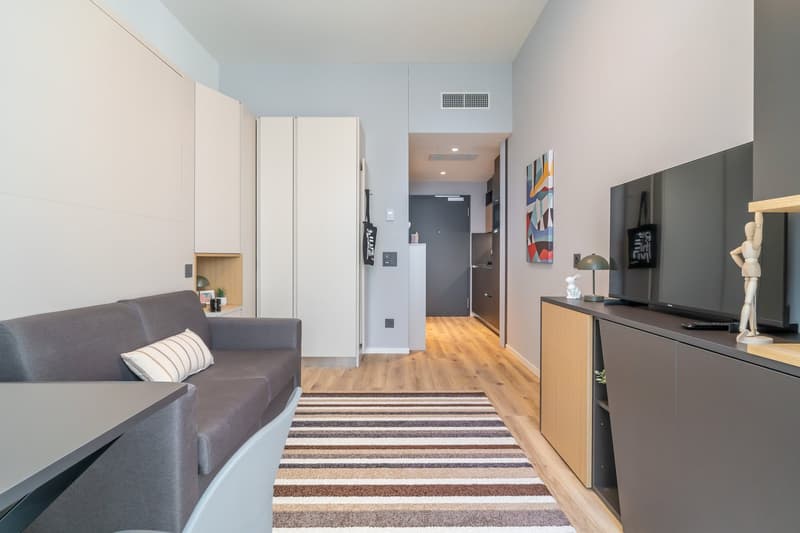 Compact studio apartment with open-plan living area, gray sofa, wooden flooring, built-in storage cabinets, and a dishwasher visible in the kitchen area.