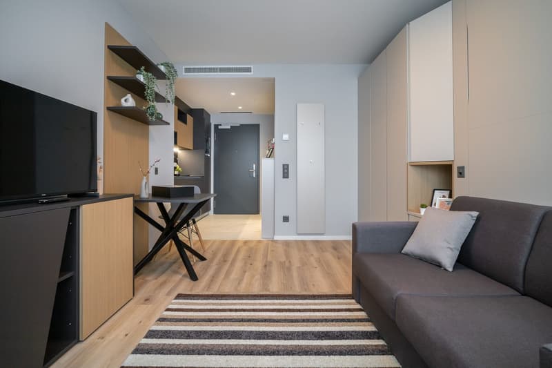 City Pop - Cosy Studio Apartments in St. Gallen (7)