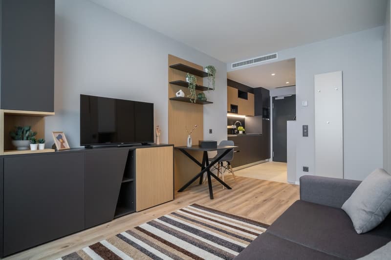 City Pop - Cosy Studio Apartments in San Gallen (4)