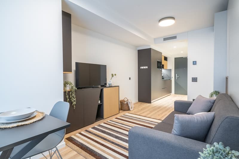 Open-plan studio apartment with hardwood flooring, gray sofa, dining table, TV stand, and kitchenette with dishwasher