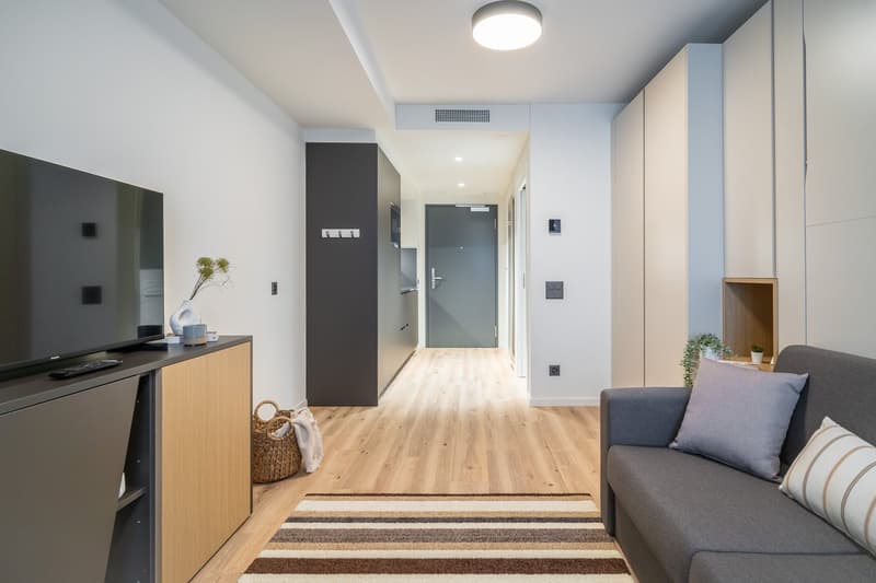 Open-plan studio apartment with hardwood flooring, gray sofa, TV stand, kitchenette with dishwasher, and entrance door