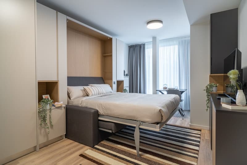 Spacious bedroom with a large bed, built-in wardrobes, and a striped area rug. The room has large windows with curtains, providing natural light and a potential balcony or terrace access.