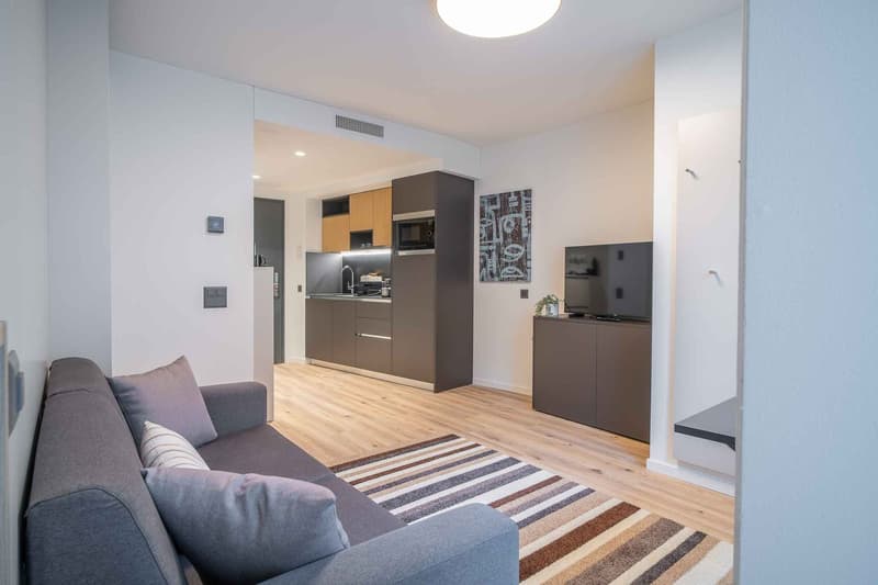 City Pop - Cosy Studio Apartments in KleinBasel (4)