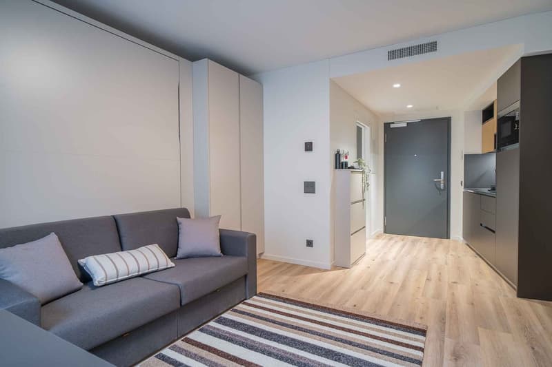 City Pop - Cosy Studio Apartments in KleinBasel (5)