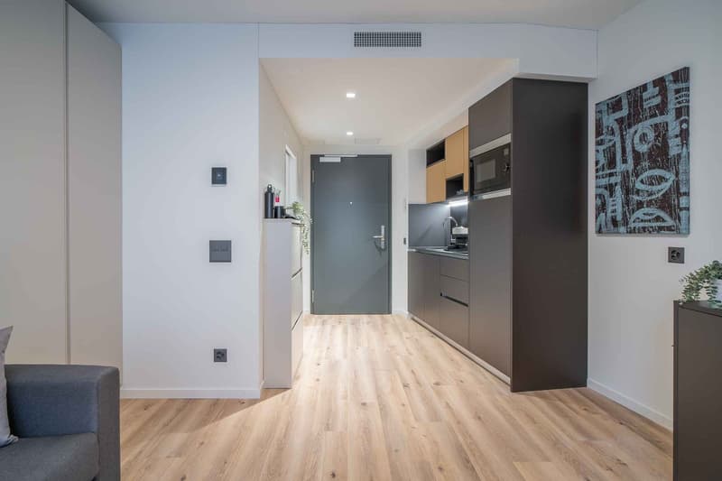 City Pop - Cosy Studio Apartments in KleinBasel (8)