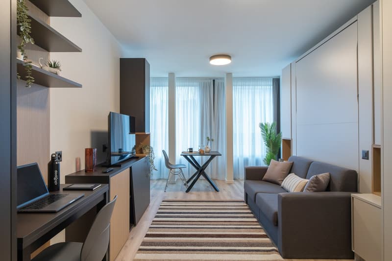 The image shows a modern and well-designed studio apartment. The main living area features a gray sofa, a striped rug, and a small dining table with a chair. The room has large windows that provide natural light and access to a balcony or terrace. The apa