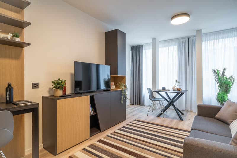 Spacious living room with large windows, wooden shelves, TV stand, desk, sofa, and striped rug