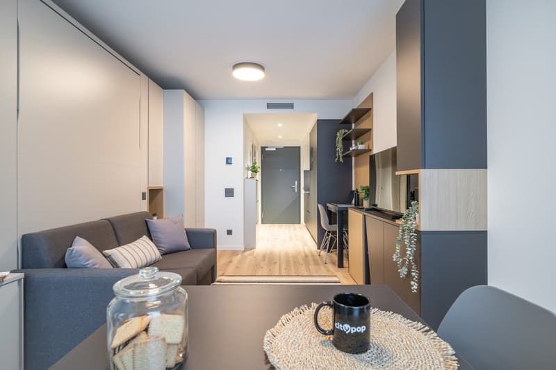 Compact studio apartment with living area, kitchenette, and entrance. The living area has a gray sofa, decorative pillows, and a coffee table. The kitchenette features built-in cabinets, shelves, and a dishwasher. The entrance leads to the apartment's doo