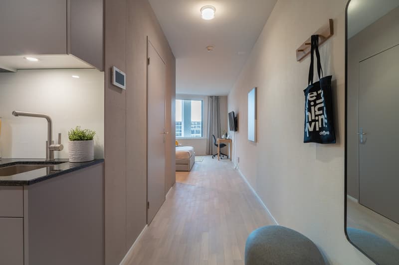 Compact studio apartment with kitchenette, hardwood floors, large windows, and a bedroom area at the end of the hallway. The apartment features a dishwasher and a tote bag hanging on the wall.