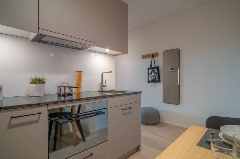 Modern kitchen with built-in appliances, gray cabinets, granite countertop, and a potted plant. There is a dishwasher visible among the kitchen appliances.