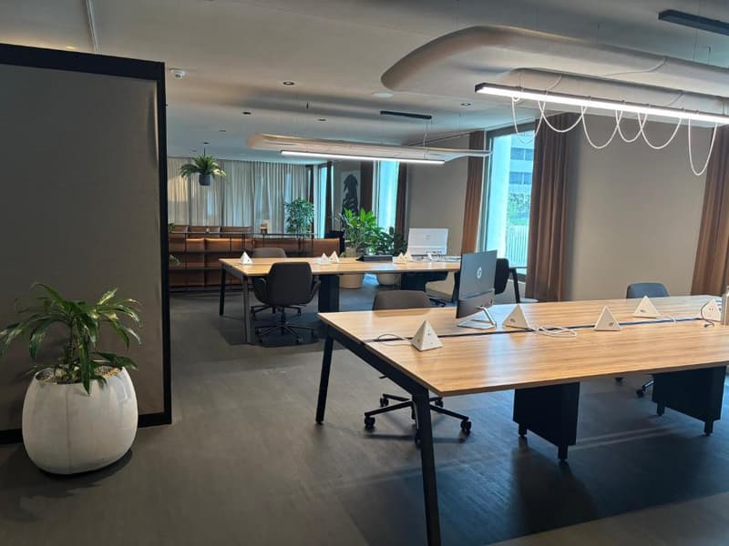 Modern and spacious office space with wooden desks, office chairs, and a large window. The room features a fireplace and decorative plants, creating a comfortable and professional work environment.