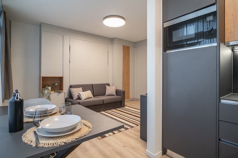 City Pop - Cosy Studio Apartments in Basel (13)