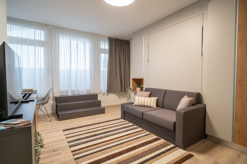 Spacious living room with large windows, gray sofa, striped rug, and built-in storage unit