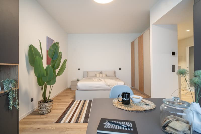 City Pop - Studio Apartments in Basel, next to the train station (10)
