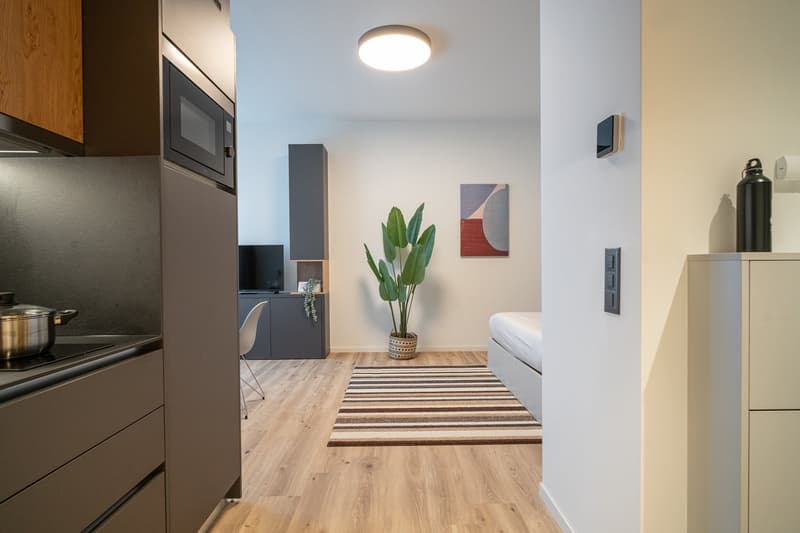 City Pop - Studio Apartments in Basel, next to the train station (7)