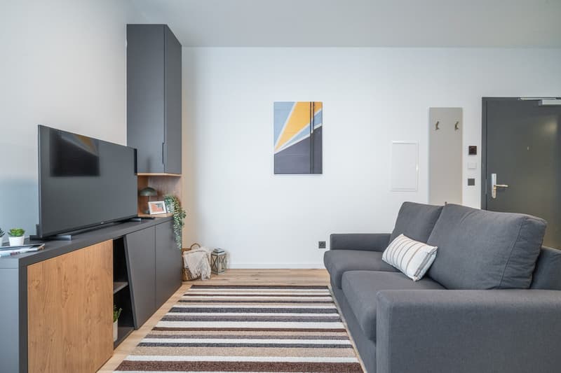 City Pop - Studio Apartments in Basel, next to the train station (23)