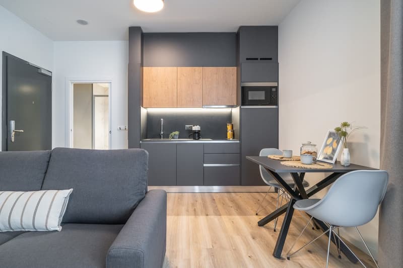 City Pop - Studio Apartments in Basel, next to the train station (17)