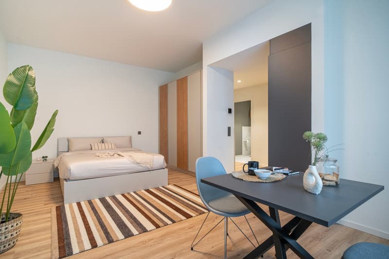 City Pop - Studio Apartments in Basel, next to the train station (11)